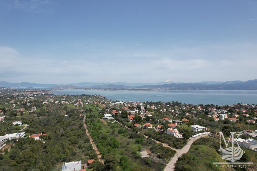 Αγροτεμάχια 6.000 τ.μ. για πώληση, Εύβοια, Αυλίδα