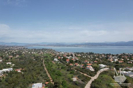 Αγροτεμάχια 6.000τ.μ. για πώληση-Αυλίδα