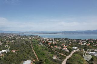 Αγροτεμάχια 6.000 τ.μ. για πώληση