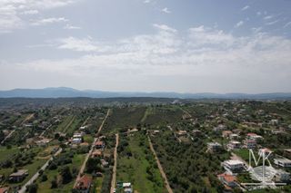 Αγροτεμάχια 6.000 τ.μ. για πώληση, Εύβοια, Αυλίδα-thumb-1