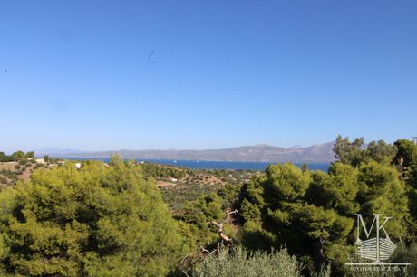 Detached home 170sqm for sale-Markopoulo Oropou