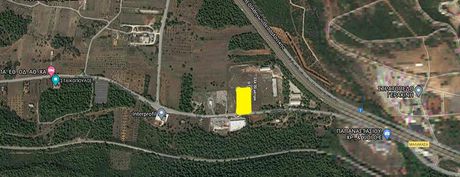 Parcel 6.000sqm for sale-Com. Malakasa