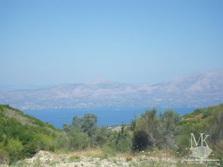 Αγροτεμάχια 2.500 τ.μ. για πώληση
