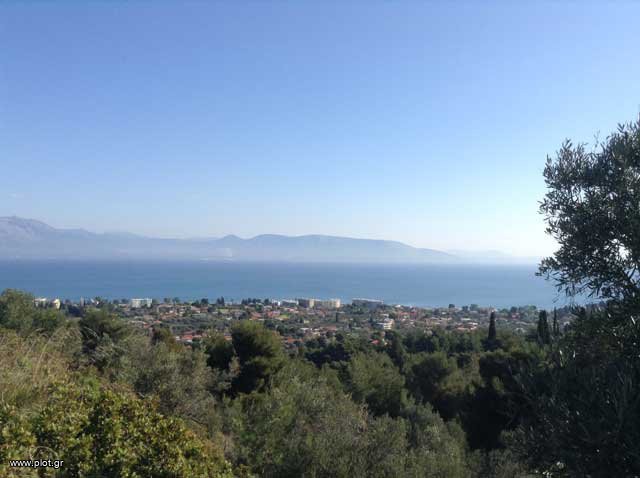 Αγροτεμάχια 2.200 τ.μ. πρός πώληση, Αττική - Υπόλοιπο, Μαρκόπουλο Ωρωπού