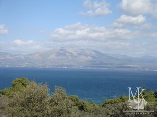 Αγροτεμάχια 4.015 τ.μ. για πώληση