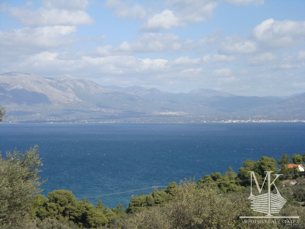 Αγροτεμάχια 4.015 τ.μ. πρός πώληση, Αττική - Υπόλοιπο, Κάλαμος