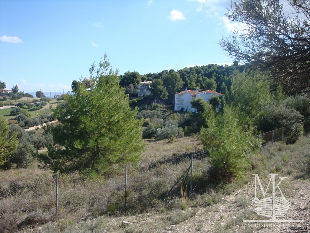 Αγροτεμάχια 4.015 τ.μ. πρός πώληση, Αττική - Υπόλοιπο, Κάλαμος