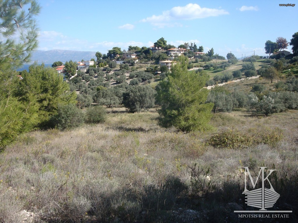 Αγροτεμάχια 4.015 τ.μ. πρός πώληση, Αττική - Υπόλοιπο, Κάλαμος