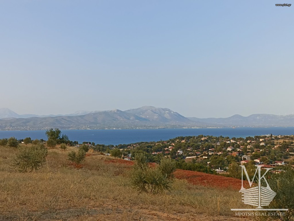 Αγροτεμάχια 4.001 τ.μ. πρός πώληση, Αττική - Υπόλοιπο, Συκάμινο