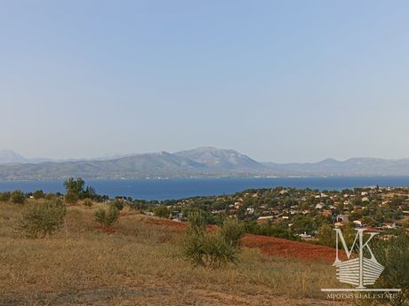 Αγροτεμάχια 4.001 τ.μ. για πώληση