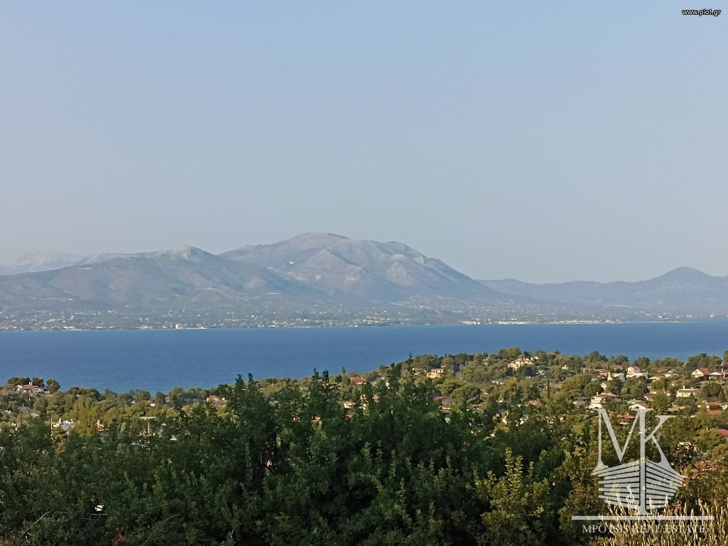Αγροτεμάχια 4.001 τ.μ. πρός πώληση, Αττική - Υπόλοιπο, Συκάμινο