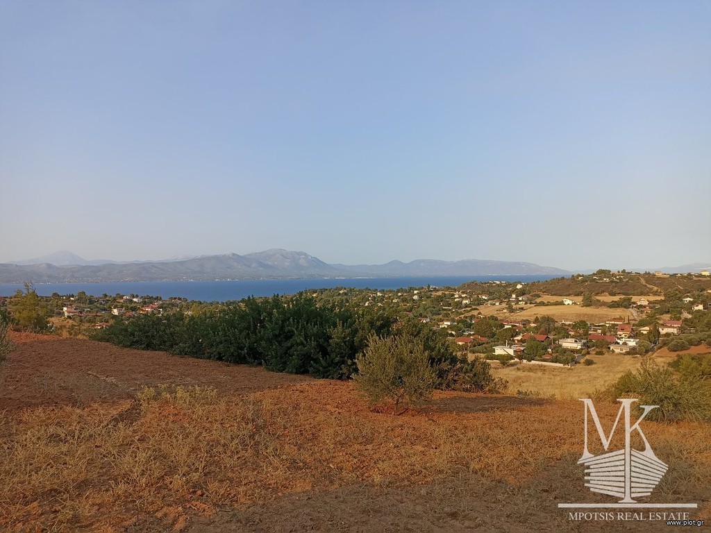 Αγροτεμάχια 4.001 τ.μ. πρός πώληση, Αττική - Υπόλοιπο, Συκάμινο
