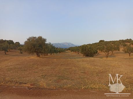 Αγροτεμάχια 7.200 τ.μ. για πώληση