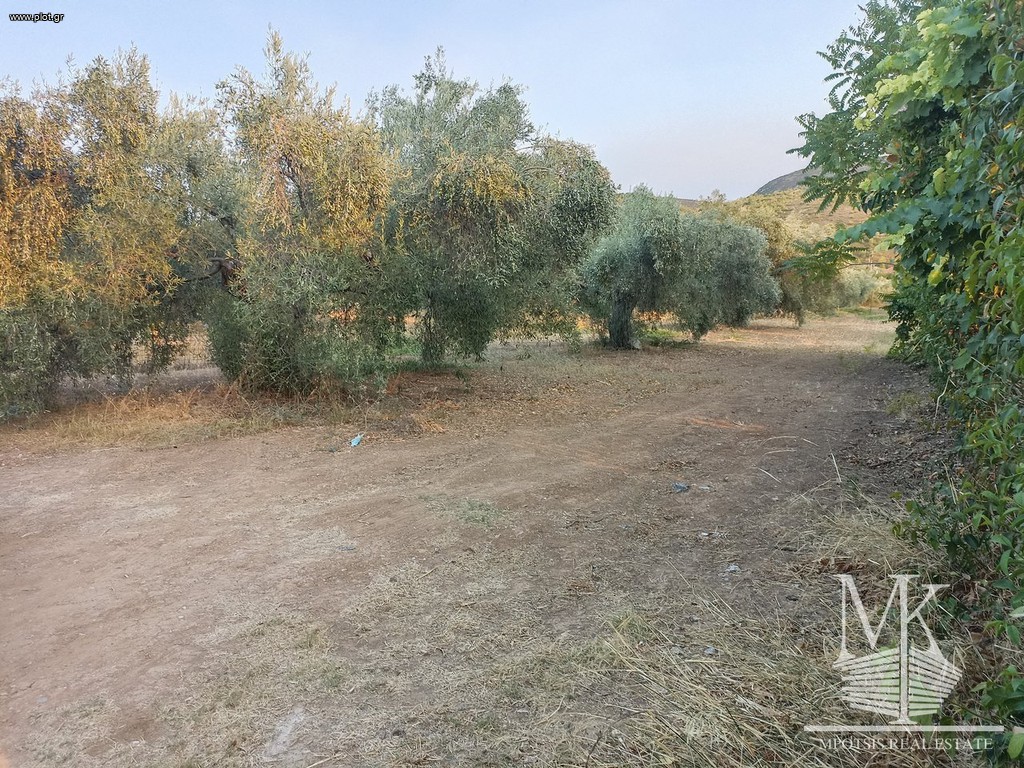 Οικόπεδο 391 τ.μ. πρός πώληση, Αττική - Υπόλοιπο, Συκάμινο