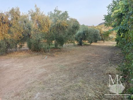 Οικόπεδο 391 τ.μ. για πώληση