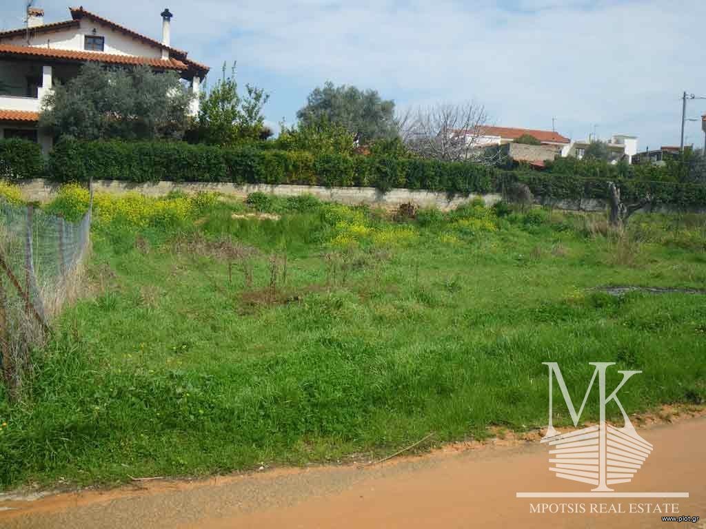 Οικόπεδο 433 τ.μ. πρός πώληση, Αττική - Υπόλοιπο, Μαρκόπουλο Ωρωπού