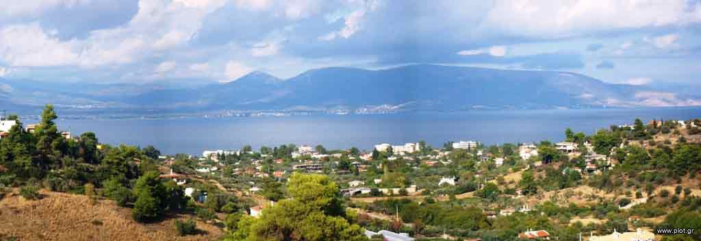 Αγροτεμάχια 5.457 τ.μ. πρός πώληση, Αττική - Υπόλοιπο, Μαρκόπουλο Ωρωπού