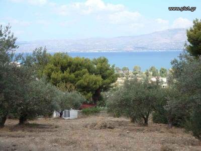 Αγροτεμάχια 2.200 τ.μ. πρός πώληση, Αττική - Υπόλοιπο, Μαρκόπουλο Ωρωπού
