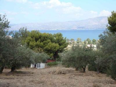 Αγροτεμάχια 2.200 τ.μ. για πώληση