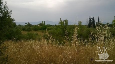 Αγροτεμάχια 3.500 τ.μ. για πώληση