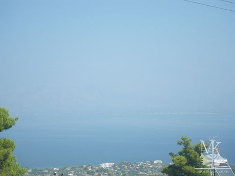 Οικόπεδο 2.800 τ.μ. για πώληση