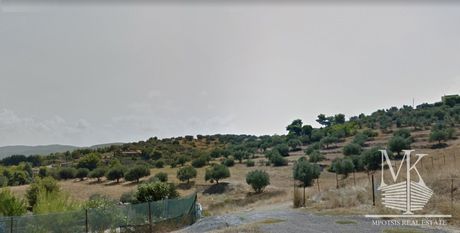 Αγροτεμάχια 17.500 τ.μ. για πώληση