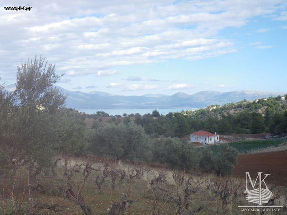 Αγροτεμάχια 5.500 τ.μ. για πώληση, Αττική - Υπόλοιπο, Μαρκόπουλο Ωρωπού