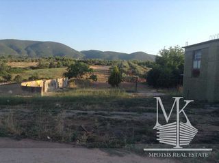 Αγροτεμάχια 6.500 τ.μ. για πώληση