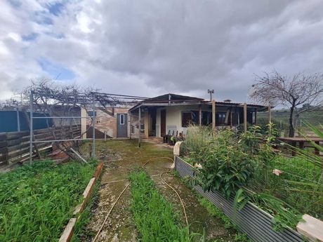 Detached home 45sqm for sale-Com. Skalas Oropou » Chalkoutsi