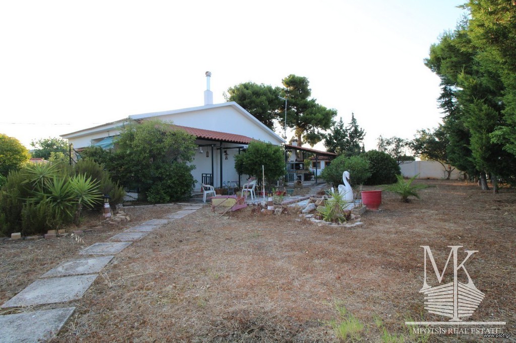 Μονοκατοικία 73 τ.μ. πρός πώληση, Αττική - Υπόλοιπο, Κ. Σκάλας Ωρωπού