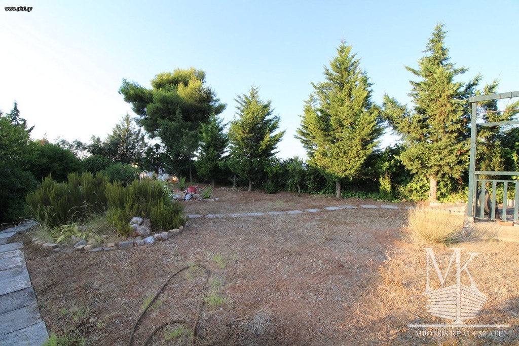 Μονοκατοικία 73 τ.μ. πρός πώληση, Αττική - Υπόλοιπο, Κ. Σκάλας Ωρωπού