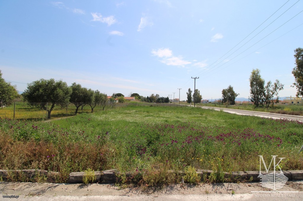 Οικόπεδο 1.000 τ.μ. πρός πώληση, Αττική - Υπόλοιπο, Κ. Νέων Παλατίων