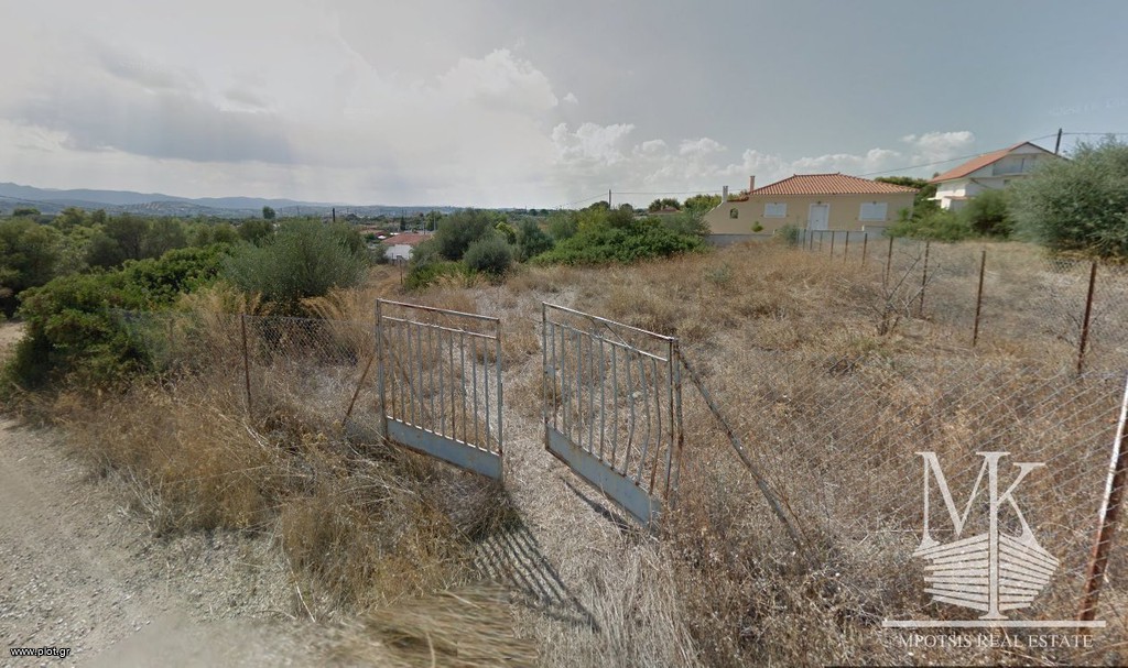 Αγροτεμάχια 567 τ.μ. πρός πώληση, Αττική - Υπόλοιπο, Κ. Σκάλας Ωρωπού