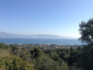 Αγροτεμάχια 1.974 τ.μ. για πώληση