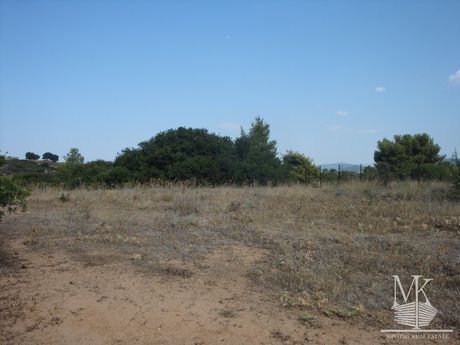 Αγροτεμάχια 1.000 τ.μ. για πώληση