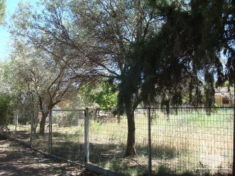 Αγροτεμάχια 300 τ.μ. για πώληση