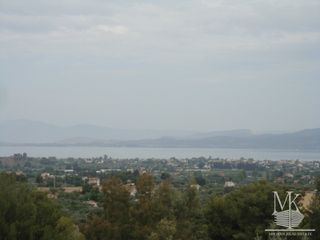 Αγροτεμάχια 7.600 τ.μ. για πώληση