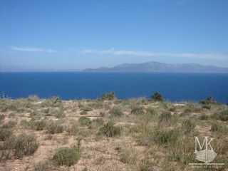 Αγροτεμάχια 6.790 τ.μ. για πώληση
