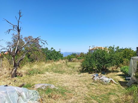 Land plot 600sqm for sale-Kalamos » Centre