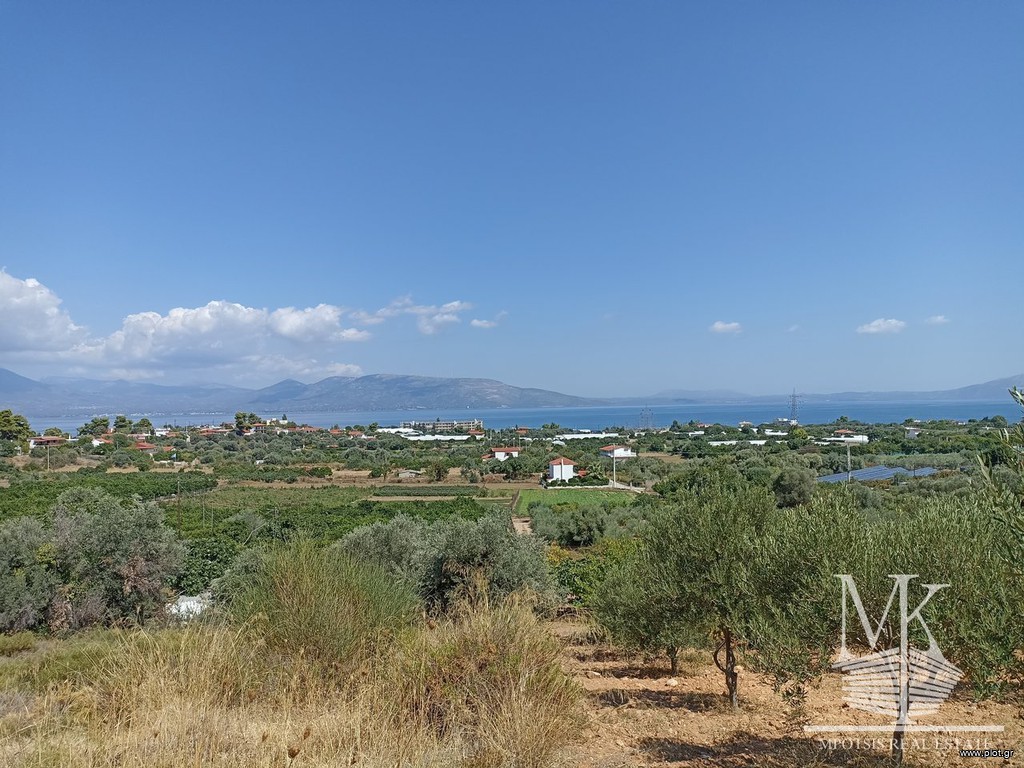 Αγροτεμάχια 5.000 τ.μ. πρός πώληση, Αττική - Υπόλοιπο, Κάλαμος