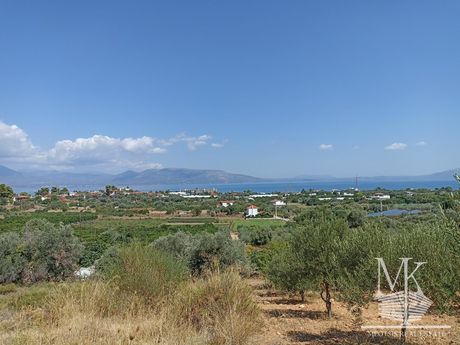 Parcel 5.000sqm for sale-Kalamos