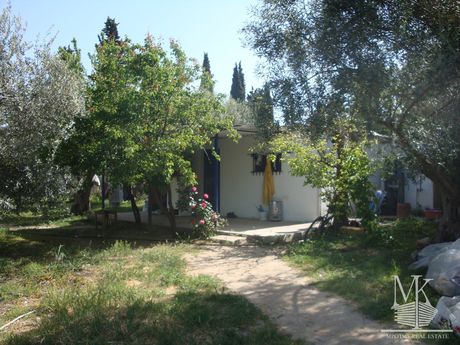 Οικόπεδο 1.300τ.μ. για πώληση-Μαρκόπουλο ωρωπού