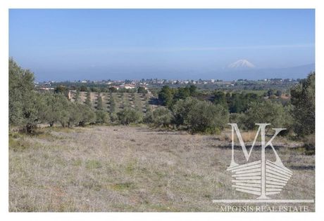 Αγροτεμάχια 17.000 τ.μ. για πώληση