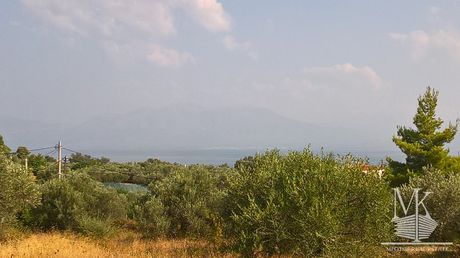 Αγροτεμάχια 5.700 τ.μ. πρός πώληση