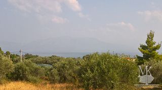 Αγροτεμάχια 5.700 τ.μ. για πώληση
