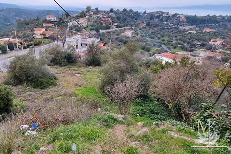 Οικόπεδο 1.050 τ.μ. για πώληση