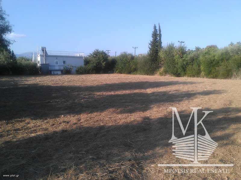Οικόπεδο 1.300 τ.μ. πρός πώληση, Αττική - Υπόλοιπο, Μαρκόπουλο Ωρωπού