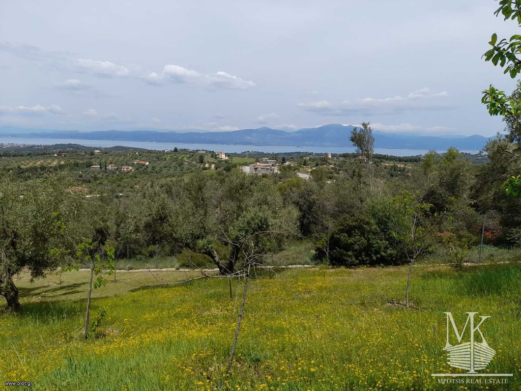 Αγροτεμάχια 1.968 τ.μ. πρός πώληση, Αττική - Υπόλοιπο, Κ. Μαλακάσας