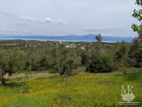 Αγροτεμάχια 1.968 τ.μ. για πώληση