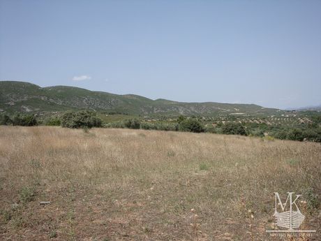 Αγροτεμάχια 14.600 τ.μ. για πώληση
